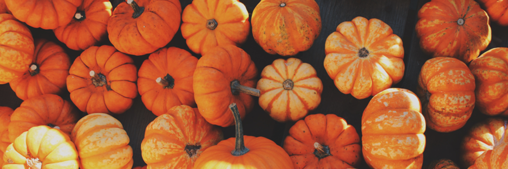 FALL ITEMS